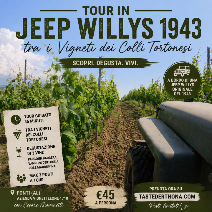 Tour in Jeep Willys 1943 tra i Vigneti dei Colli Tortonesi