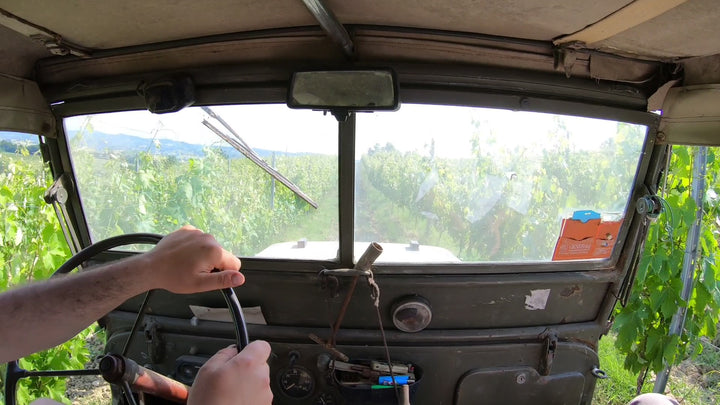Tour in Jeep Willys 1943 tra i Vigneti dei Colli Tortonesi
