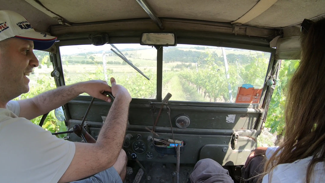 Tour in Jeep Willys 1943 tra i Vigneti dei Colli Tortonesi